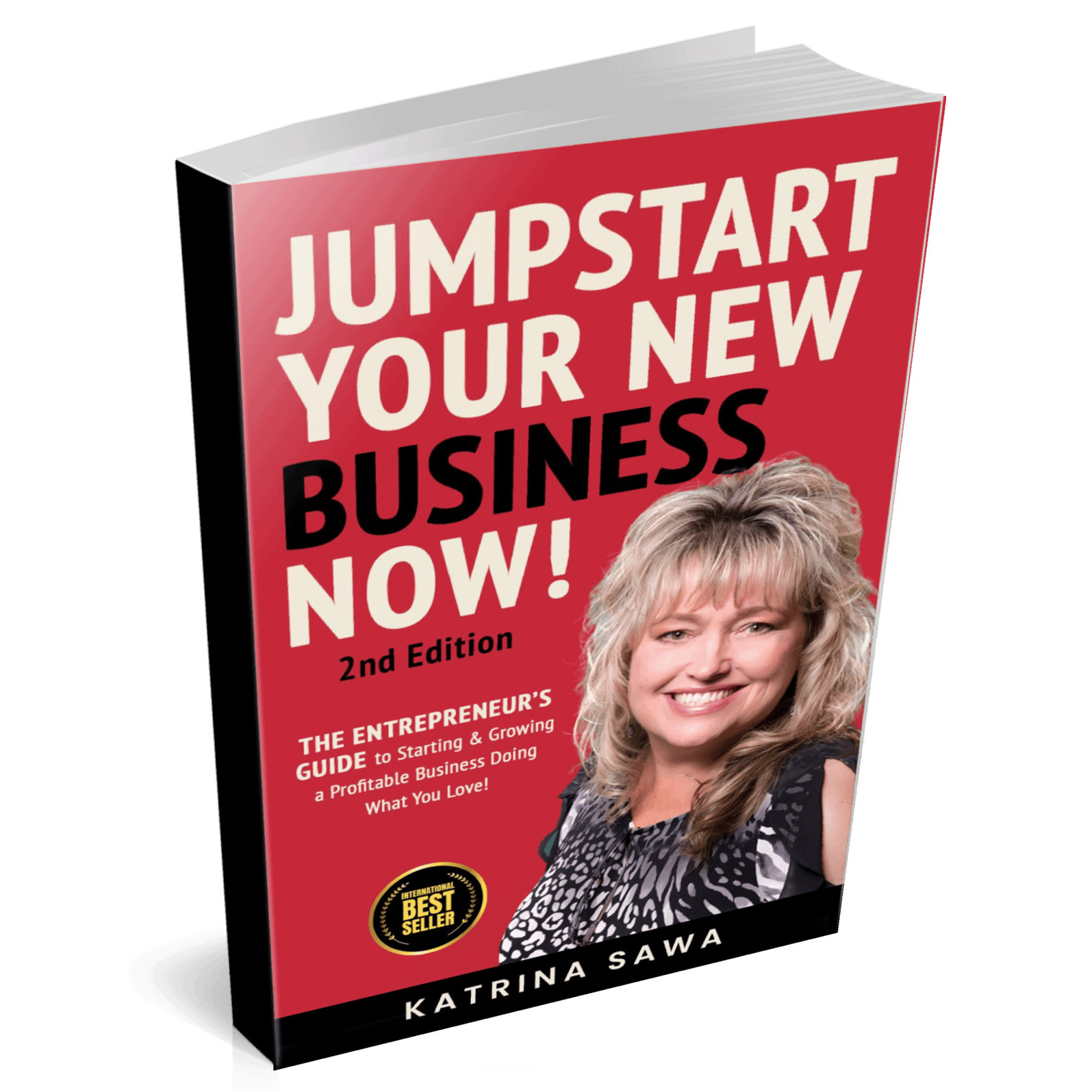 JSYnewbiznow-2ndedition-3D